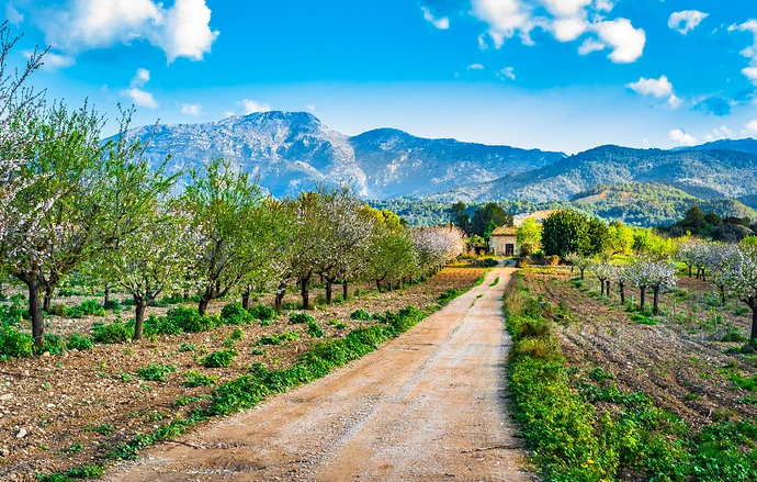 Enjoying the Brisk Winter Season in Mallorca