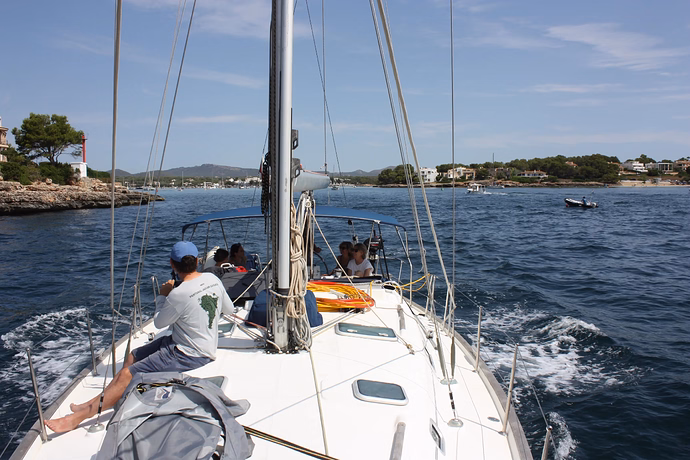 An Adventure at Sea: A Week as a Volunteer Observing Whales and Dolphins With Tursiops Foundation — discussion