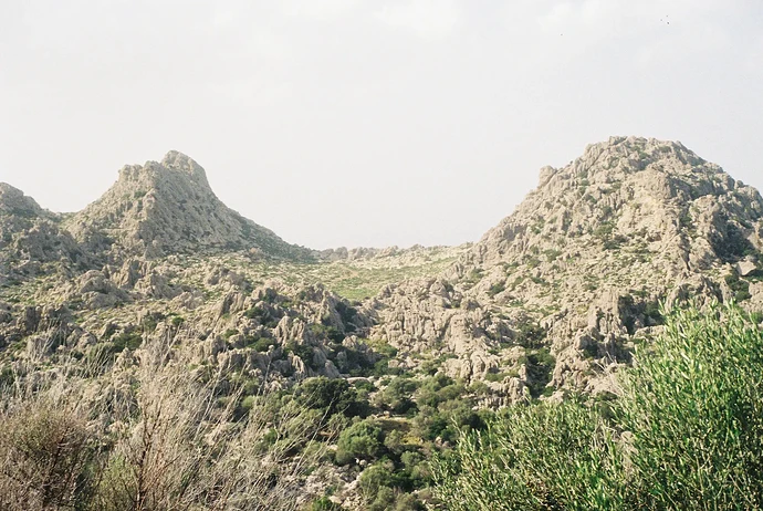 Ela Spalding: Working Between Art, Ecology and the Landscape