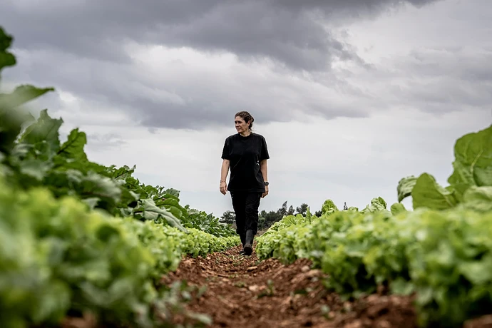 Maca de Castro, The Future is the Land