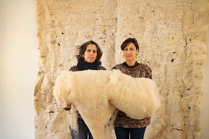 Llanatura, Uncovering the Potential of Mallorcan Wool