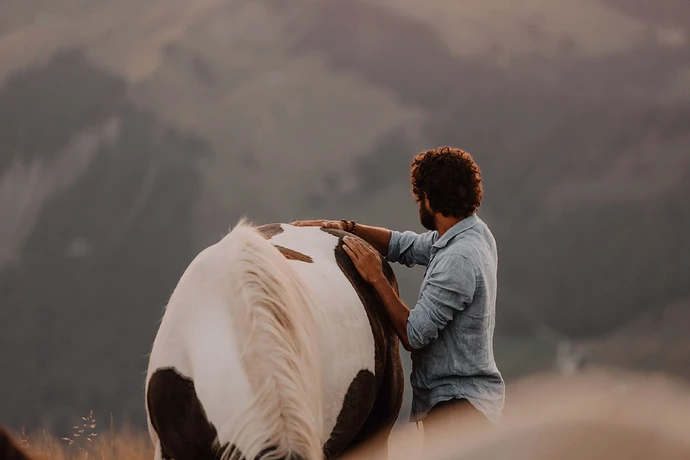 Matthias Geysen: Horses Have the Power to Change Us