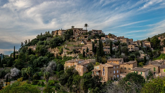 Regeneration in the Heart of the Tramuntana