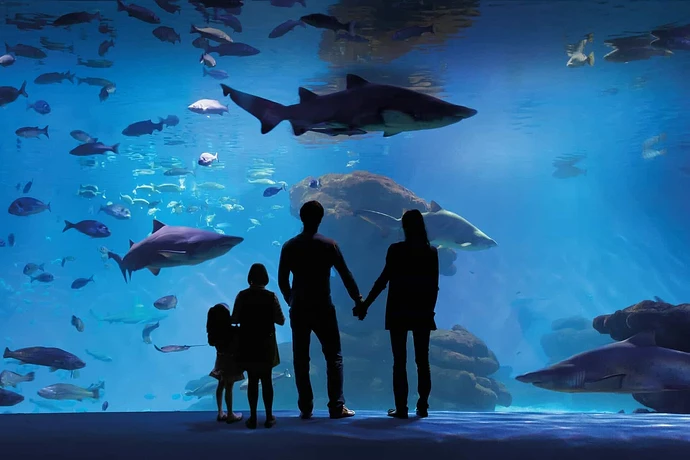 Fun and Engaging Museums for Children in Mallorca