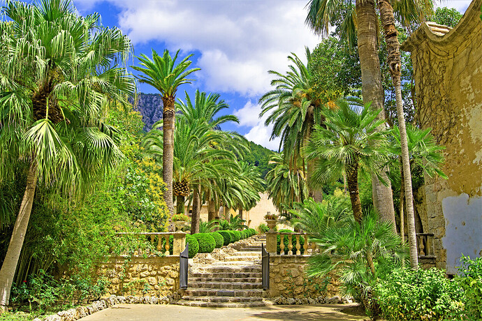 7 Essential Things to Do in Mallorca This Spring — discussion