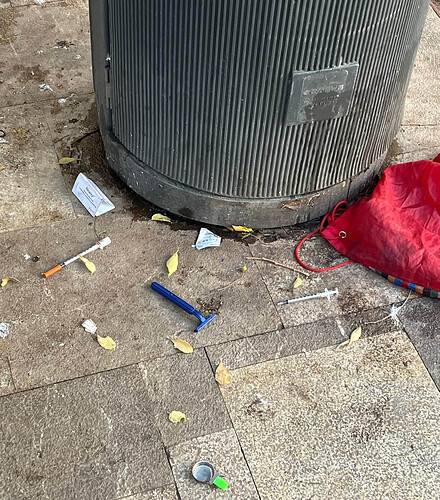 Palma's Parks Need to Do Better
