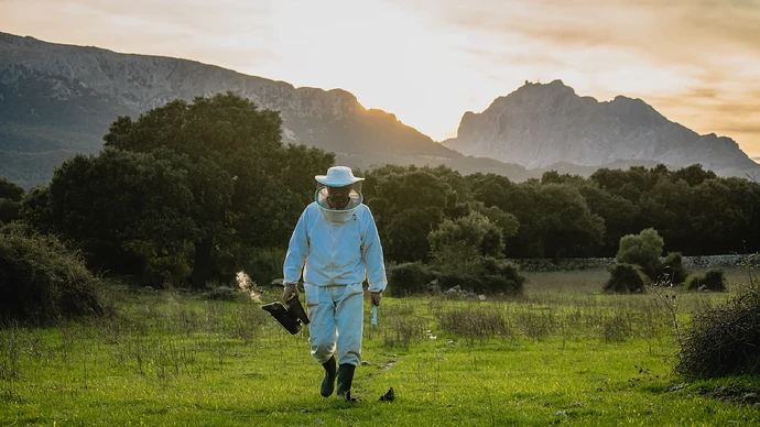 Mel Caramel: A Passion Project Becomes An Award Winning Honey from Mallorca