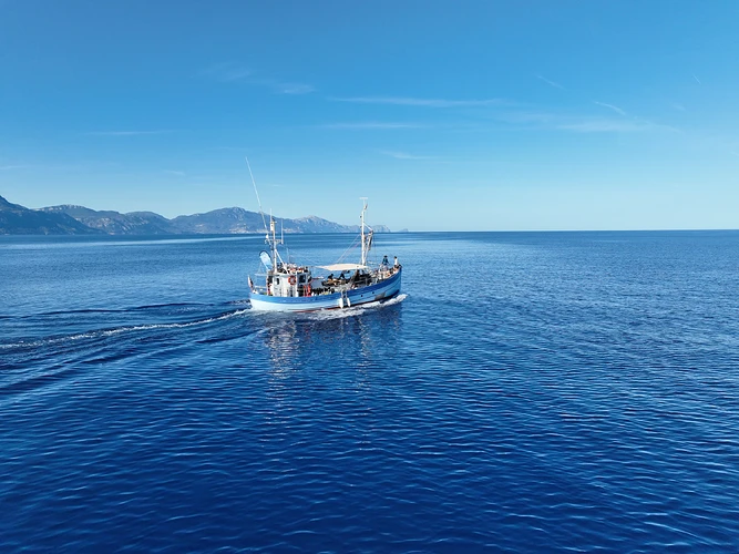 Bonnie Lass Expeditions: A Restored 1949 Fishing Vessel is Quietly Reshaping How Offshore Conservation Work is Sustained