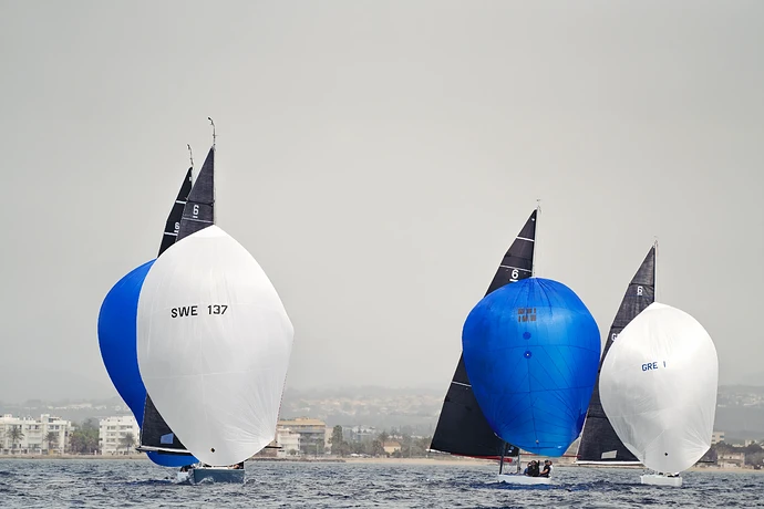 In the Wake of Palma Vela — discussion